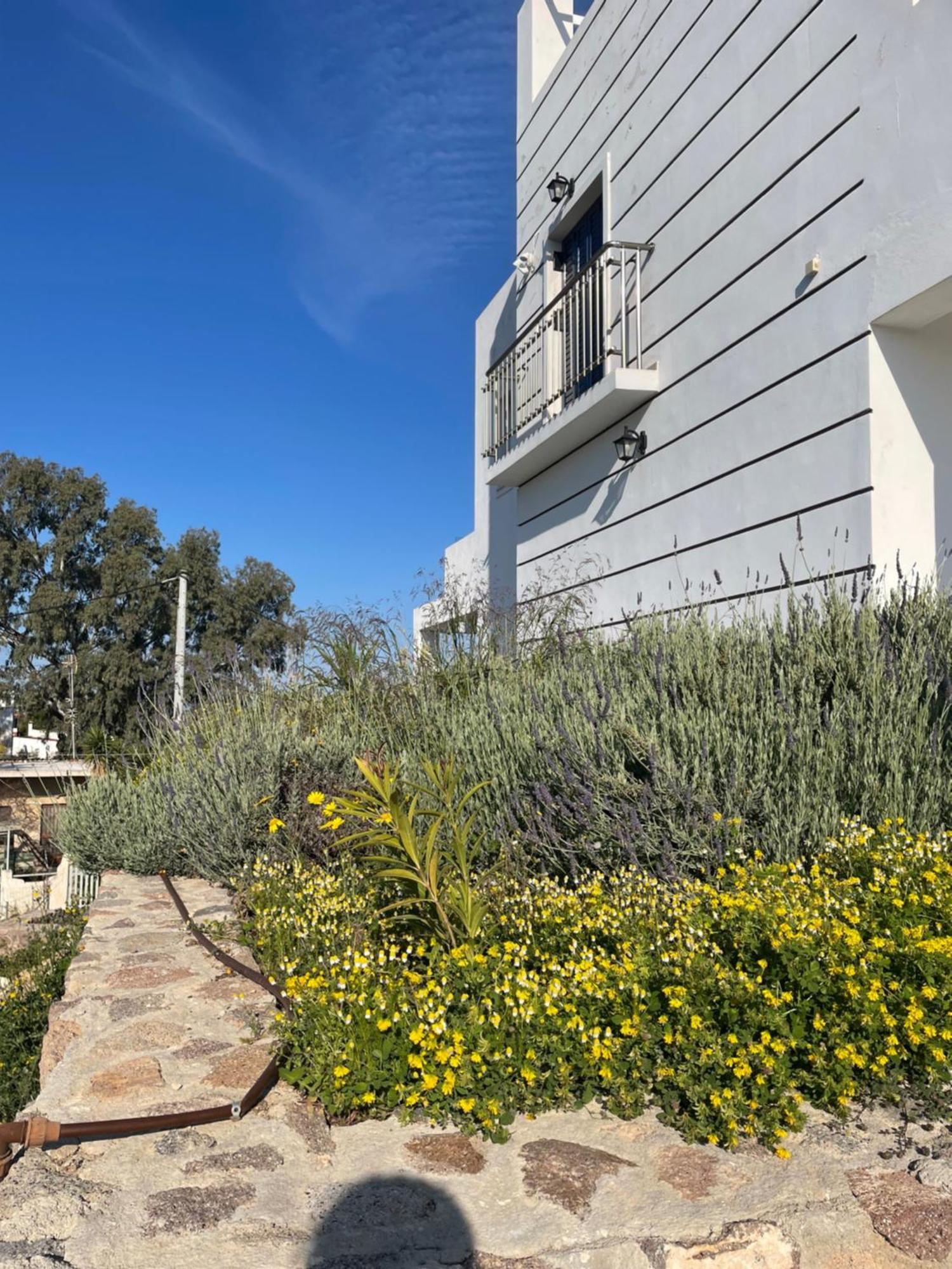 Souvala /Aegina. Excellent Location Luxury Villa. Vathí Eksteriør billede